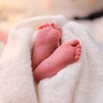 Organic Cotton Throw Blanket