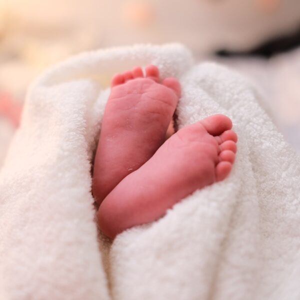 Organic Cotton Throw Blanket