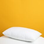 Decorative Throw Pillow