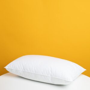 Decorative Throw Pillow
