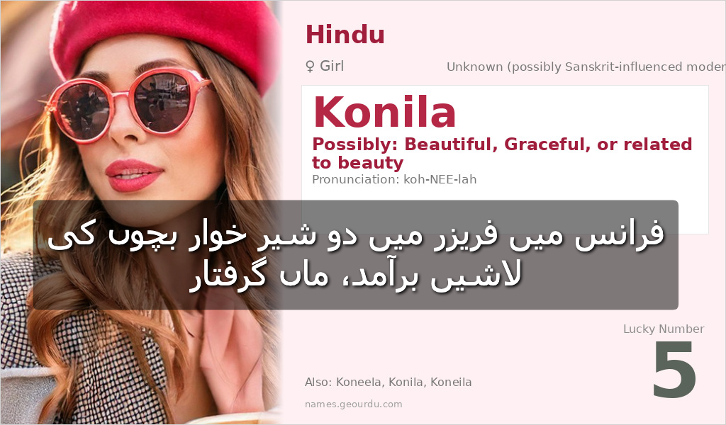 فرانس میں فریزر میں دو شیر خوار بچوں کی لاشیں برآمد، ماں گرفتار